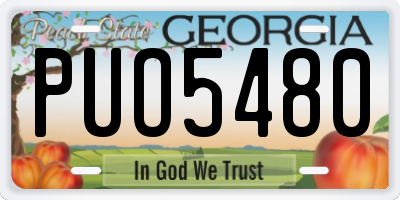 GA license plate PUO5480