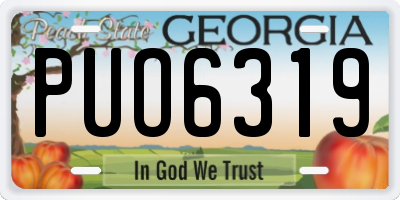 GA license plate PUO6319