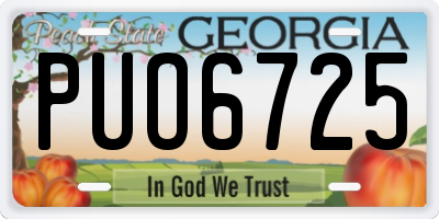GA license plate PUO6725