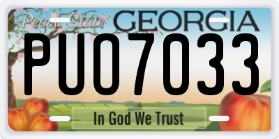 GA license plate PUO7033
