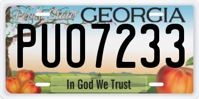 GA license plate PUO7233