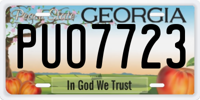 GA license plate PUO7723