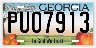 GA license plate PUO7913