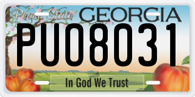 GA license plate PUO8031