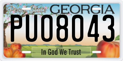 GA license plate PUO8043