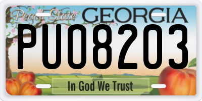 GA license plate PUO8203