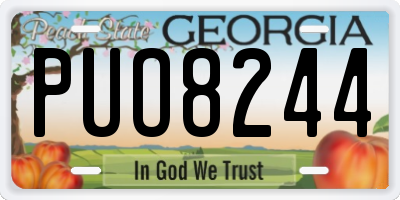 GA license plate PUO8244