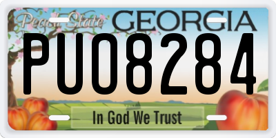 GA license plate PUO8284