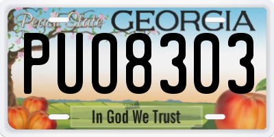 GA license plate PUO8303