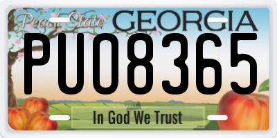 GA license plate PUO8365