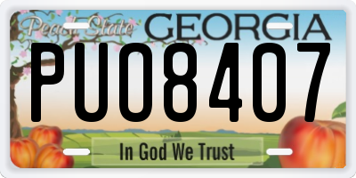 GA license plate PUO8407