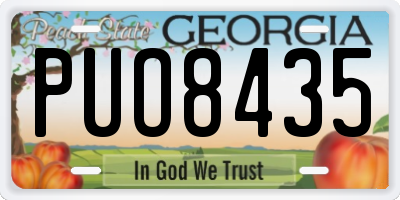 GA license plate PUO8435
