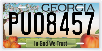 GA license plate PUO8457
