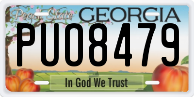 GA license plate PUO8479