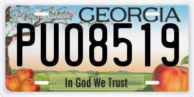 GA license plate PUO8519