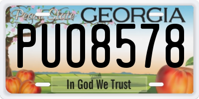 GA license plate PUO8578