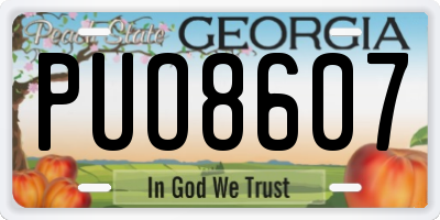 GA license plate PUO8607