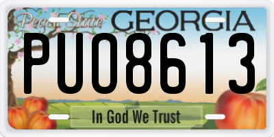 GA license plate PUO8613