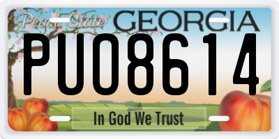 GA license plate PUO8614