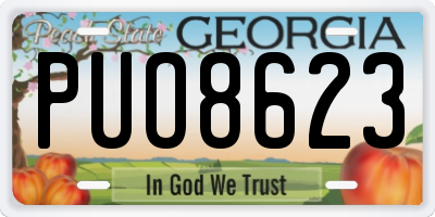 GA license plate PUO8623