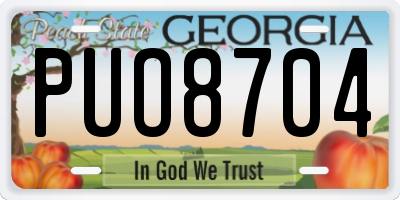 GA license plate PUO8704