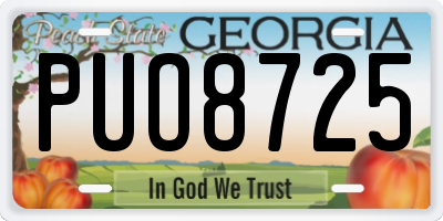 GA license plate PUO8725