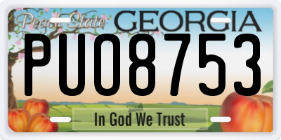 GA license plate PUO8753