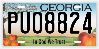 GA license plate PUO8824