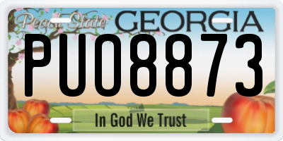 GA license plate PUO8873