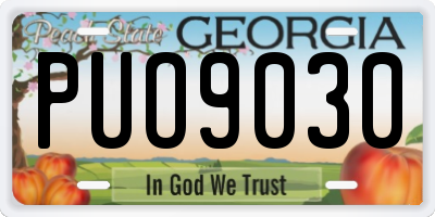 GA license plate PUO9030