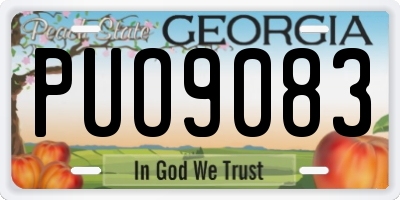 GA license plate PUO9083