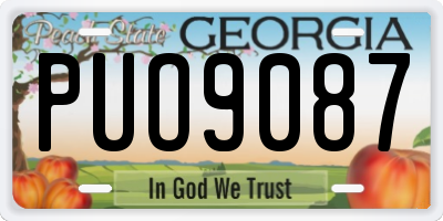 GA license plate PUO9087