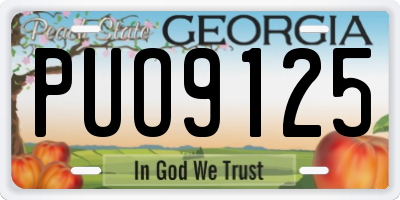 GA license plate PUO9125