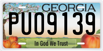 GA license plate PUO9139