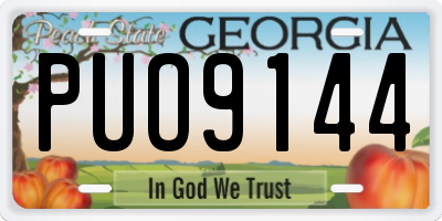 GA license plate PUO9144
