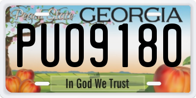 GA license plate PUO9180