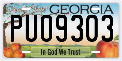 GA license plate PUO9303
