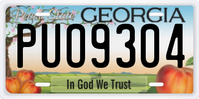 GA license plate PUO9304