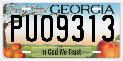 GA license plate PUO9313