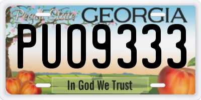 GA license plate PUO9333