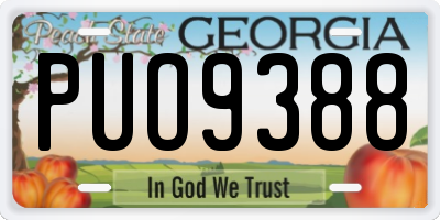 GA license plate PUO9388
