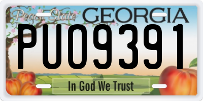 GA license plate PUO9391