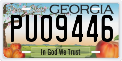 GA license plate PUO9446