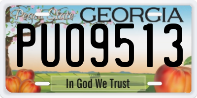 GA license plate PUO9513