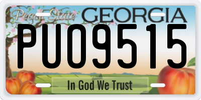 GA license plate PUO9515