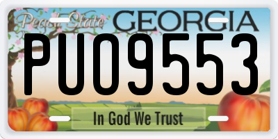 GA license plate PUO9553