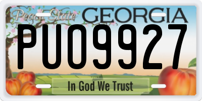 GA license plate PUO9927