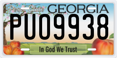 GA license plate PUO9938