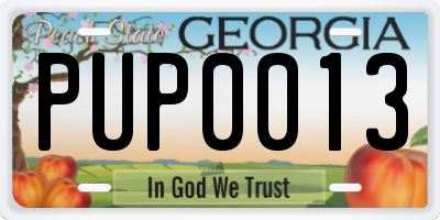 GA license plate PUP0013