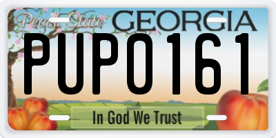 GA license plate PUP0161